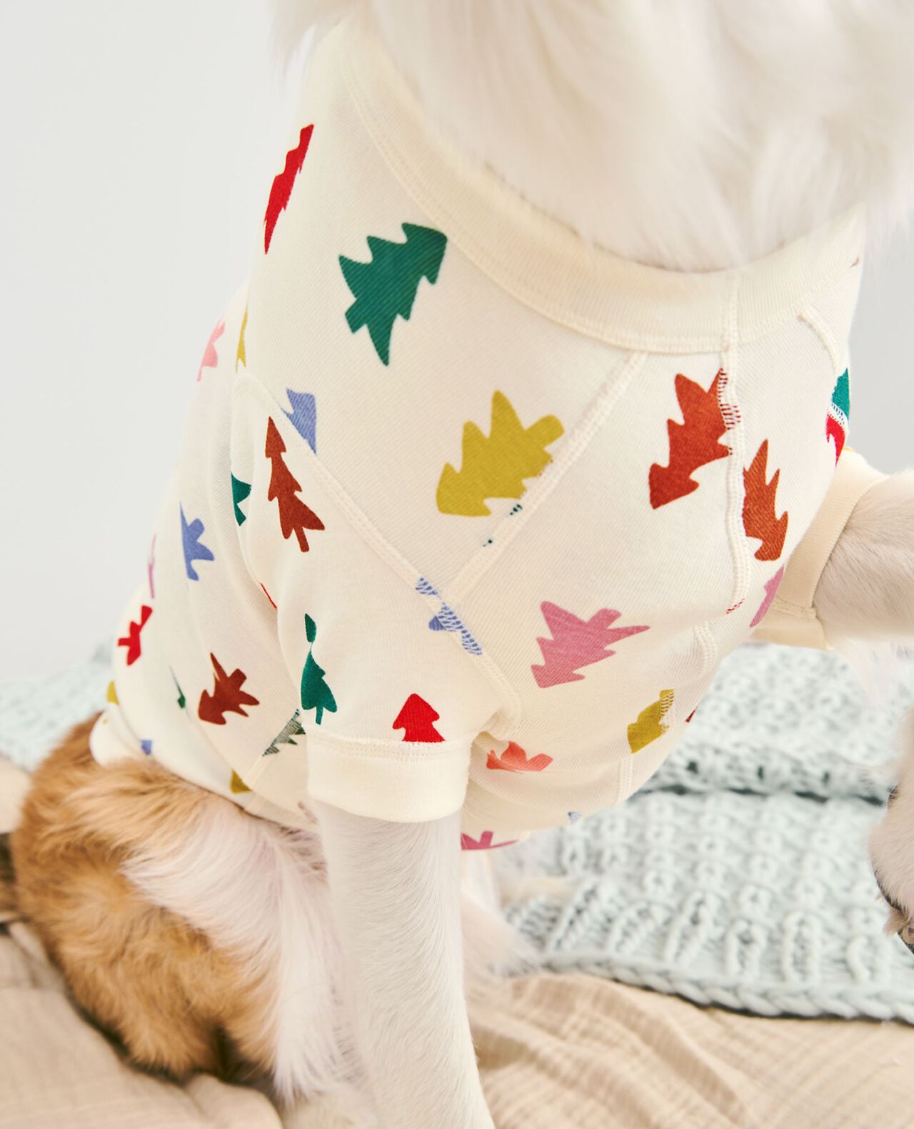 Holiday Dog Pajamas - Image 4