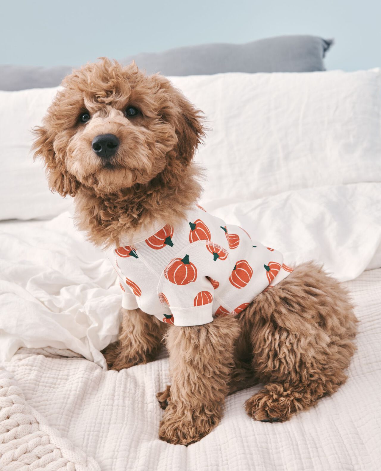Holiday Dog Pajamas - Image 29