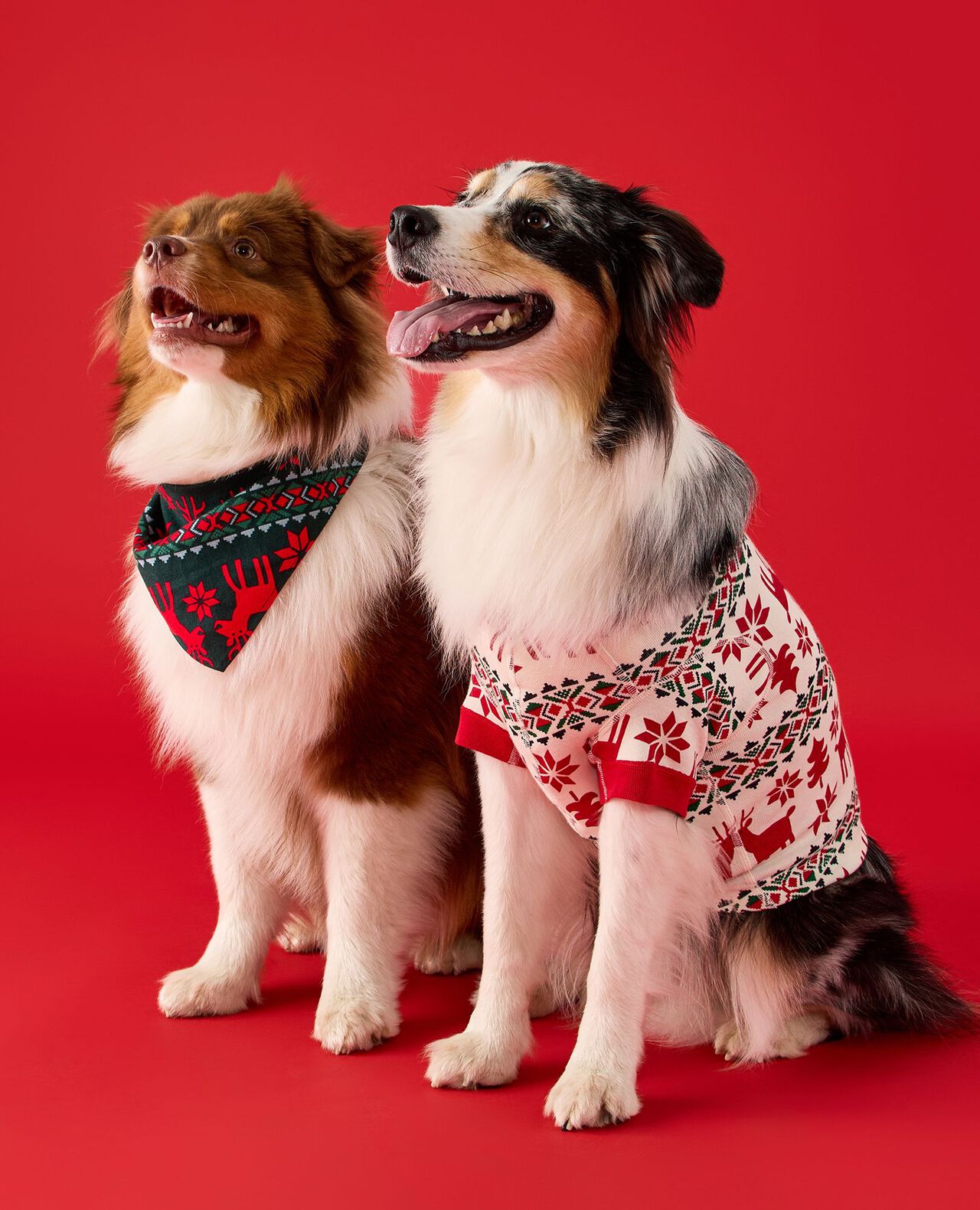 Holiday Dog Pajamas - Image 3