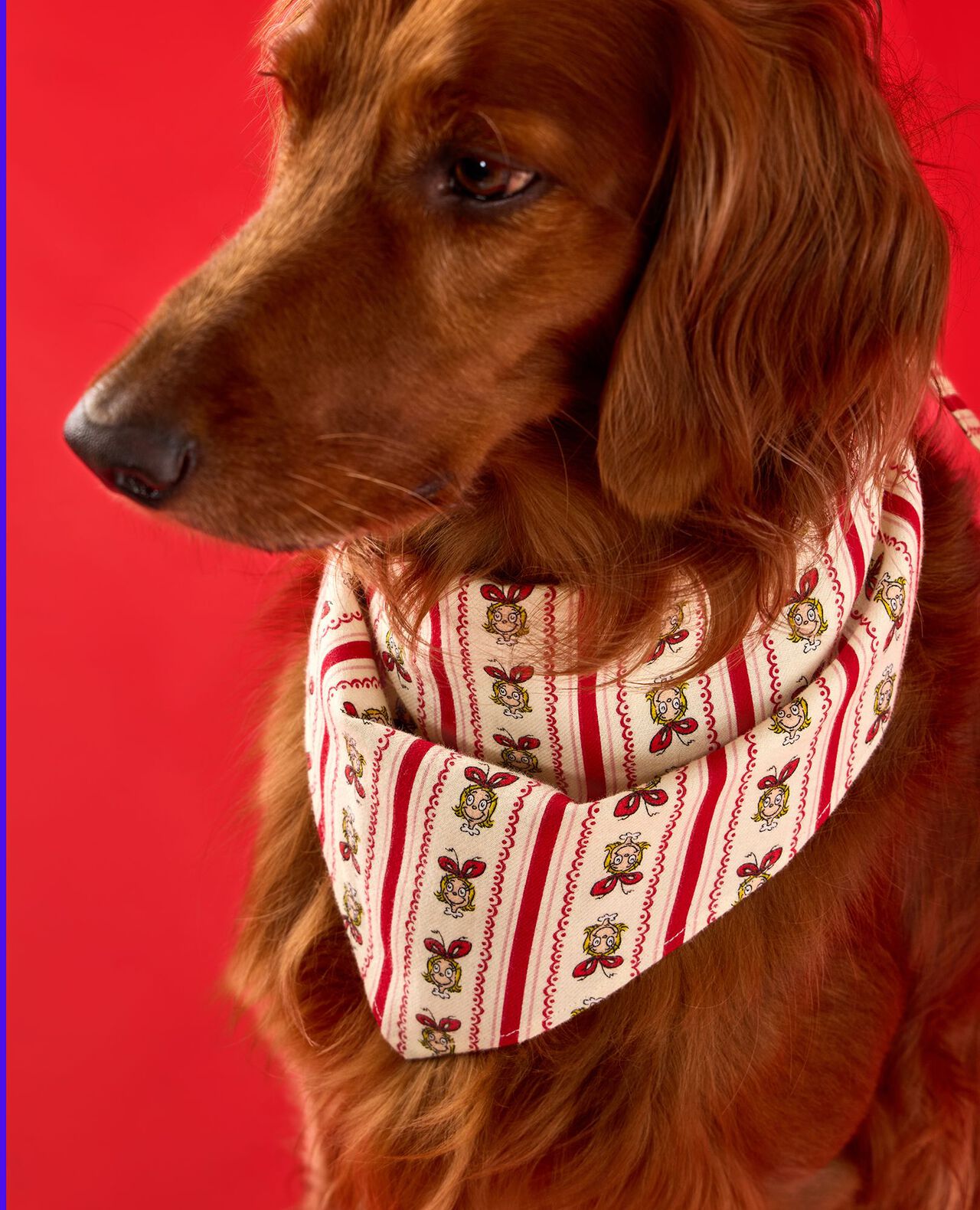 Dr. Seuss Grinch Flannel Dog Bandana - Image 2