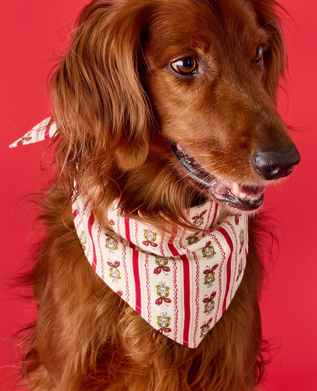 Dr. Seuss Grinch Flannel Dog Bandana - Image 4
