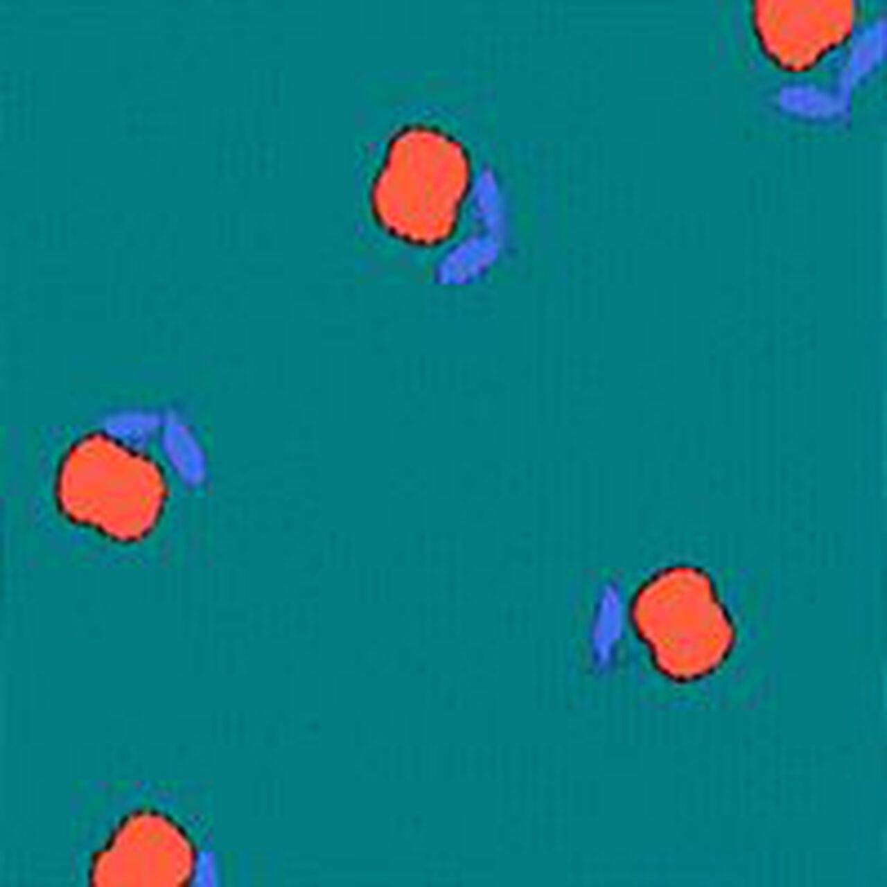 Flare Leggings - Image 4